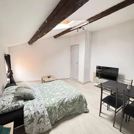 Studio Confortable Annonay Buitenkant foto