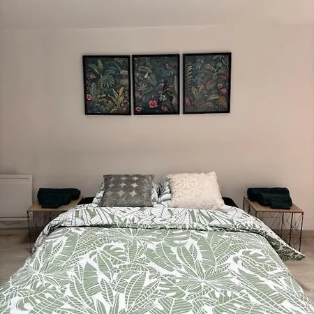 Studio Confortable Annonay Buitenkant foto