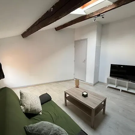 Studio Confortable Annonay Buitenkant foto